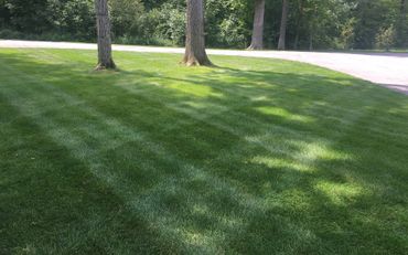 Landscape Maintenance LLC