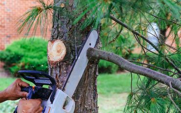 Landscape Maintenance LLC