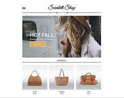 Diseño web  tienda bolsos