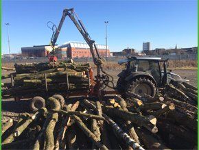 Tree mulching