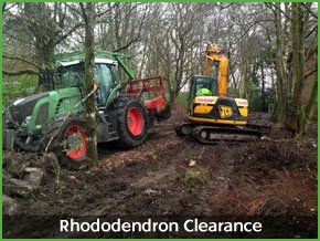 vegetation clearance
