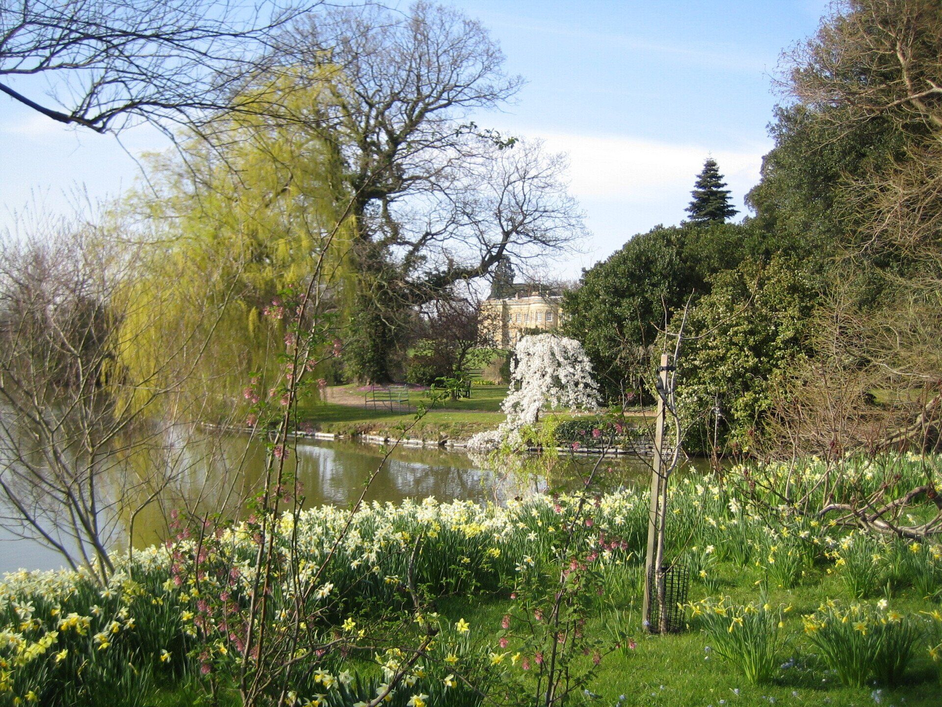 A pond surrounded by trees and flowers in a park