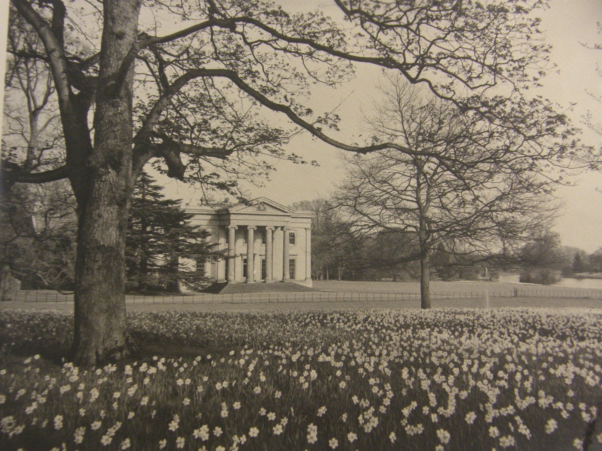 A black and white photo of a house surrounded by trees and flowers