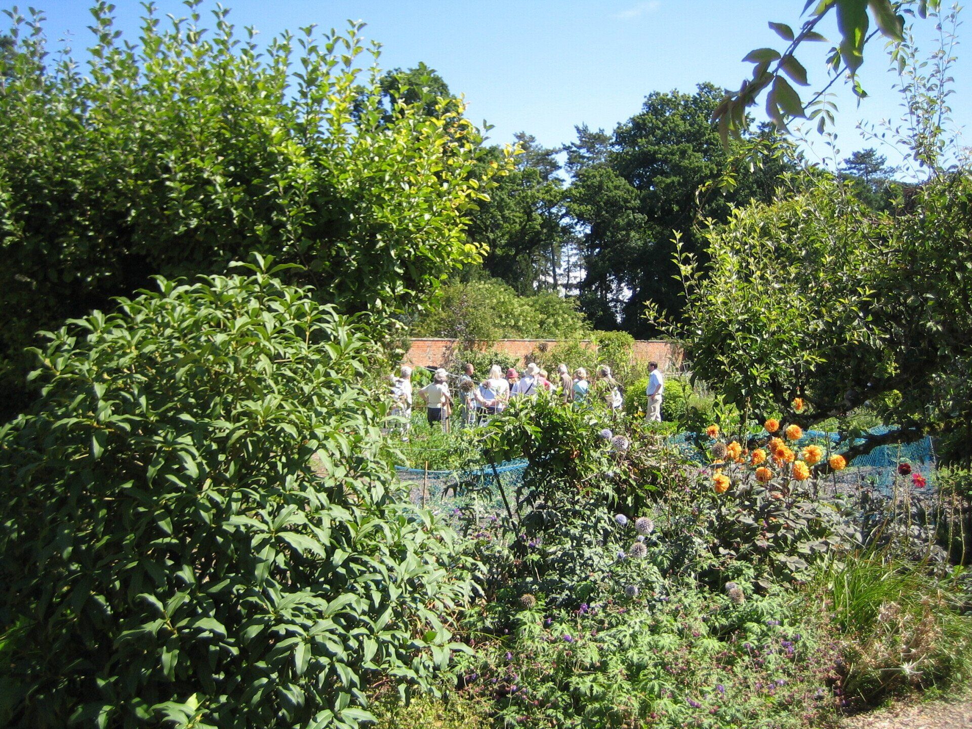 A group of people are standing in a garden surrounded by trees and bushes