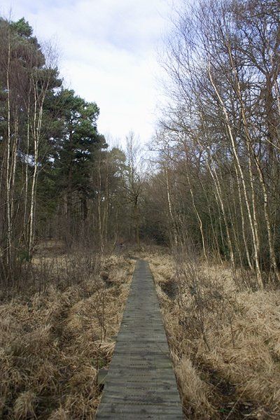 Emer Bog