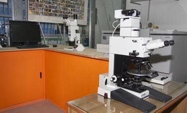 Microscope