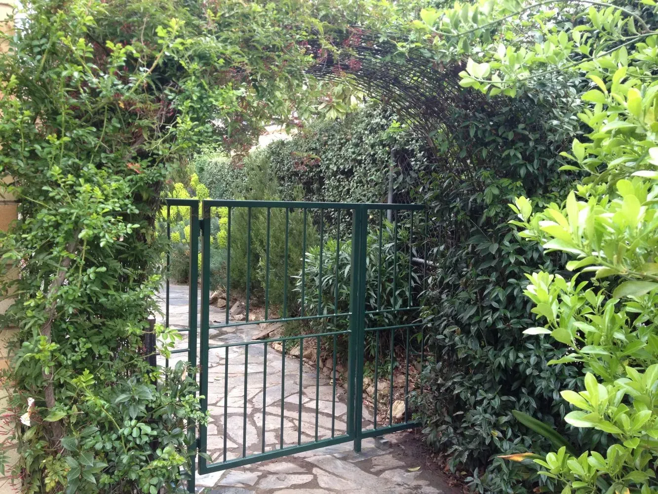 gate 42