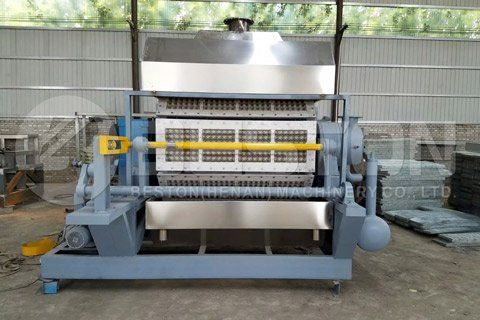 Paper Egg Tray Machine for Sale