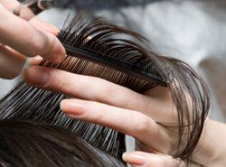 hair cutting services hair cutting services