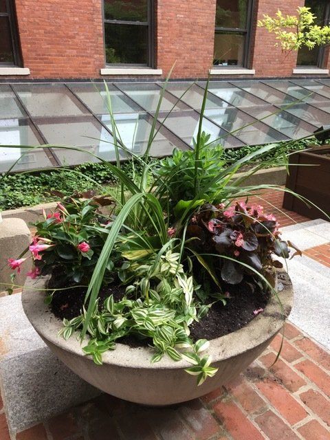 large outdoor planter for urban business landscaping