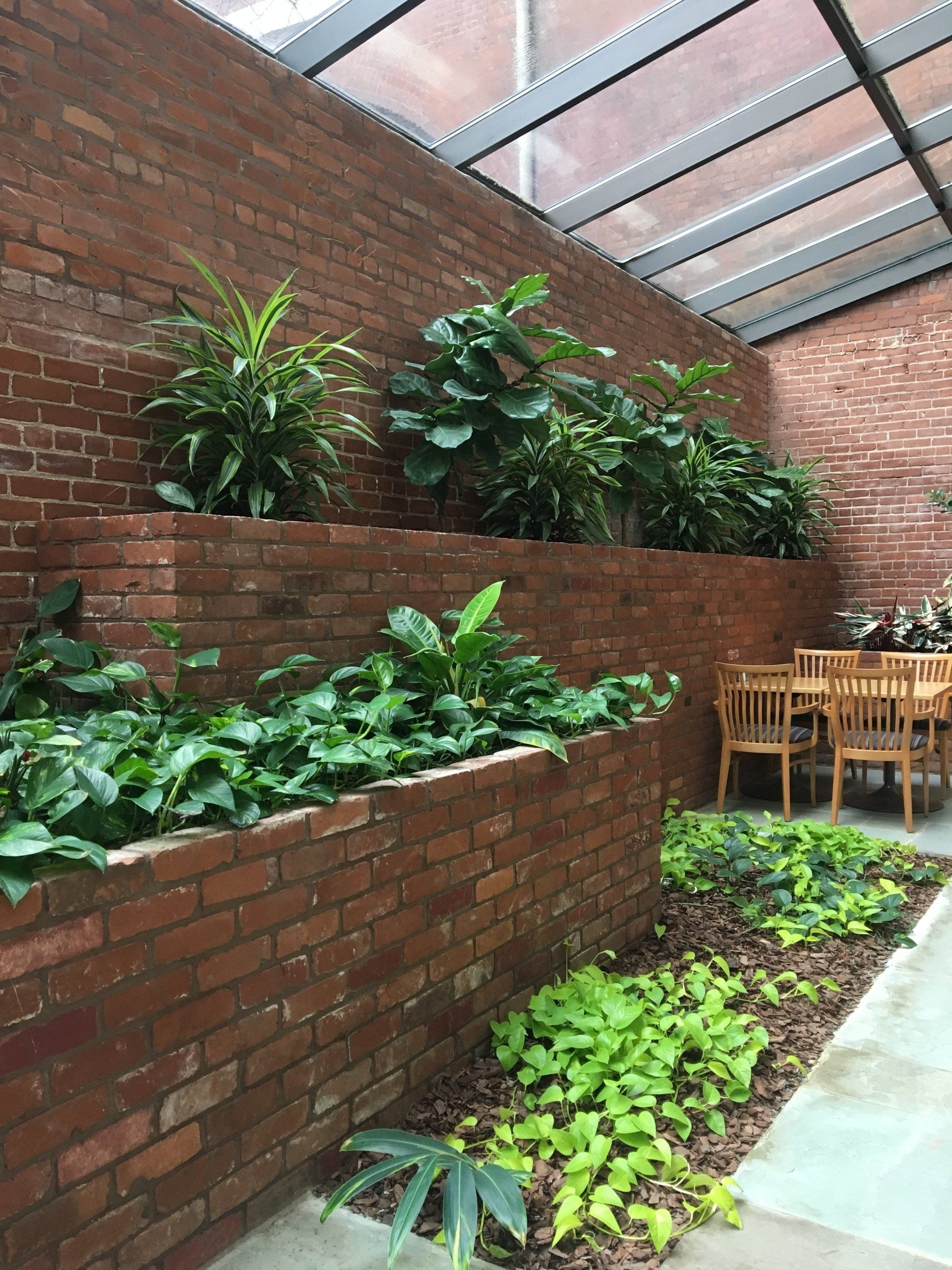 plants in office building