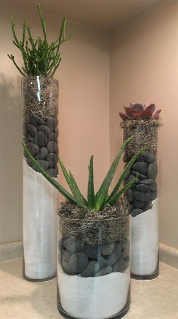 office business plantscaping