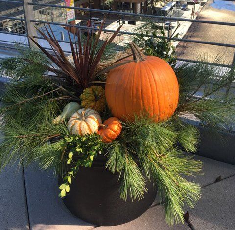 urban landscaping businesses & offices