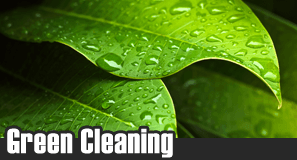 Leaves - Cleaning Company