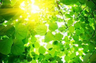 Leaf — Cleaning Company in Houston, TX Leaf — Cleaning Company in Houston, TX