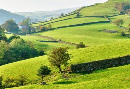 Commercial Conveyancing