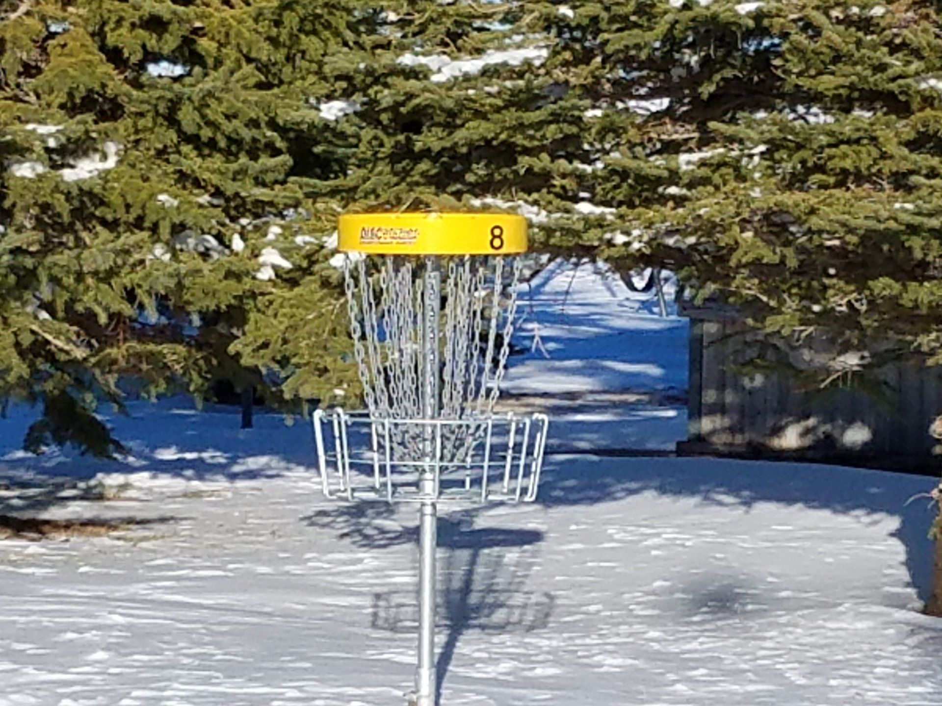 Frisbee Golf