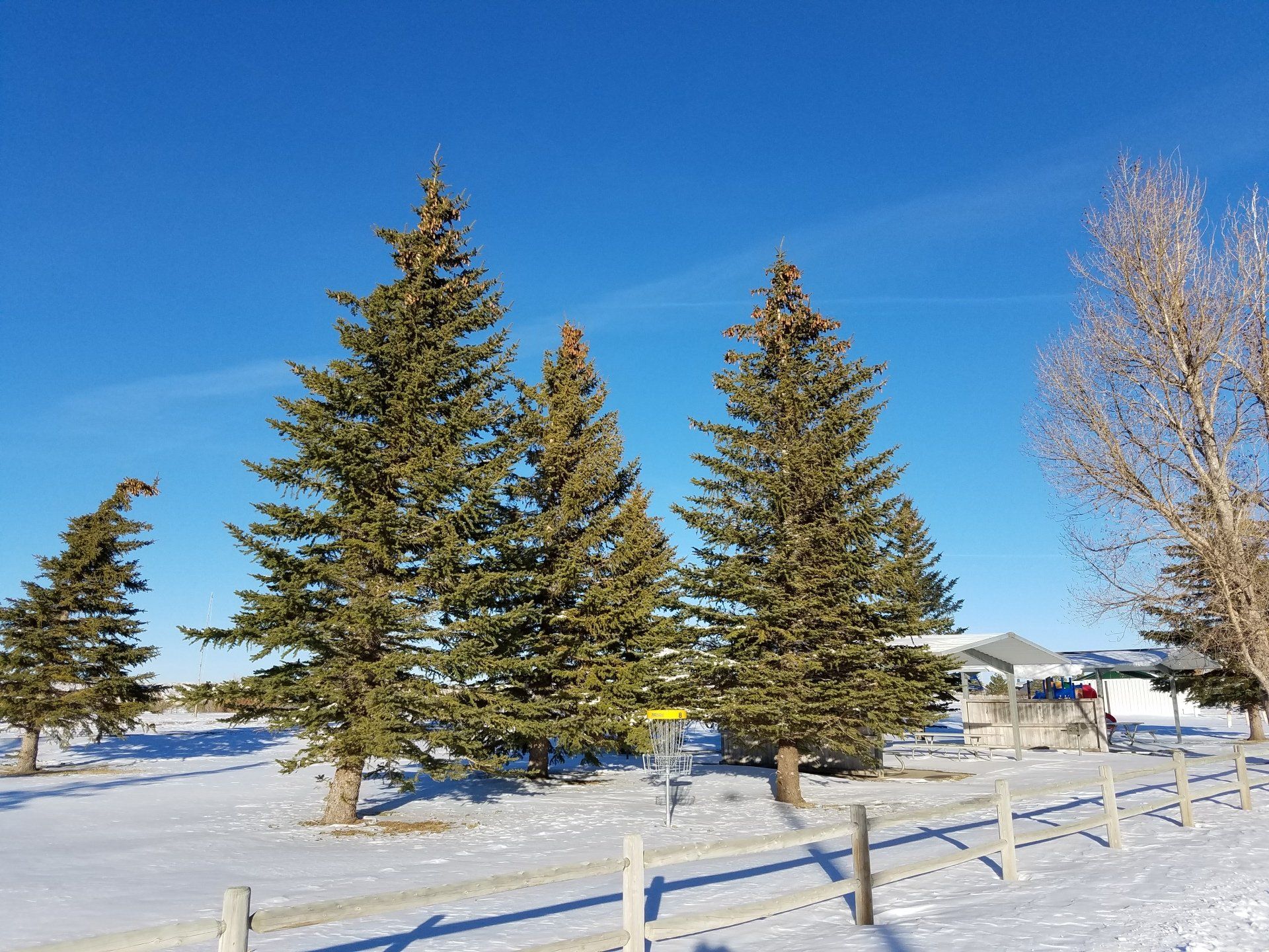 Park 