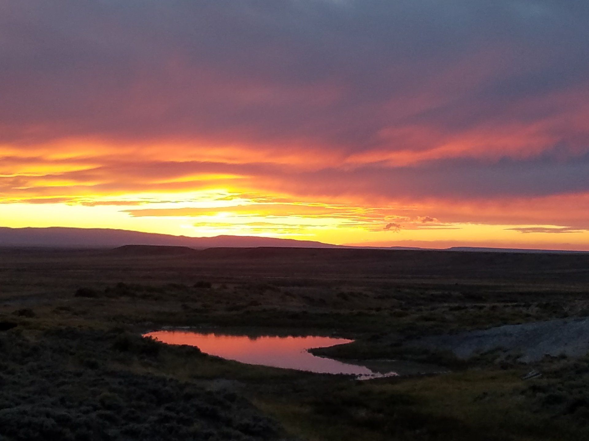 Sunset