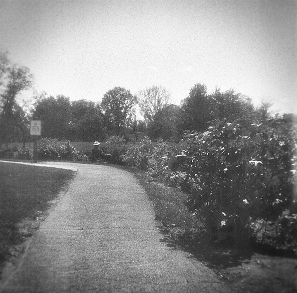 pathway