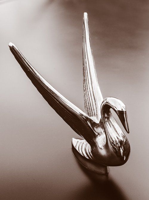 Swan ornament