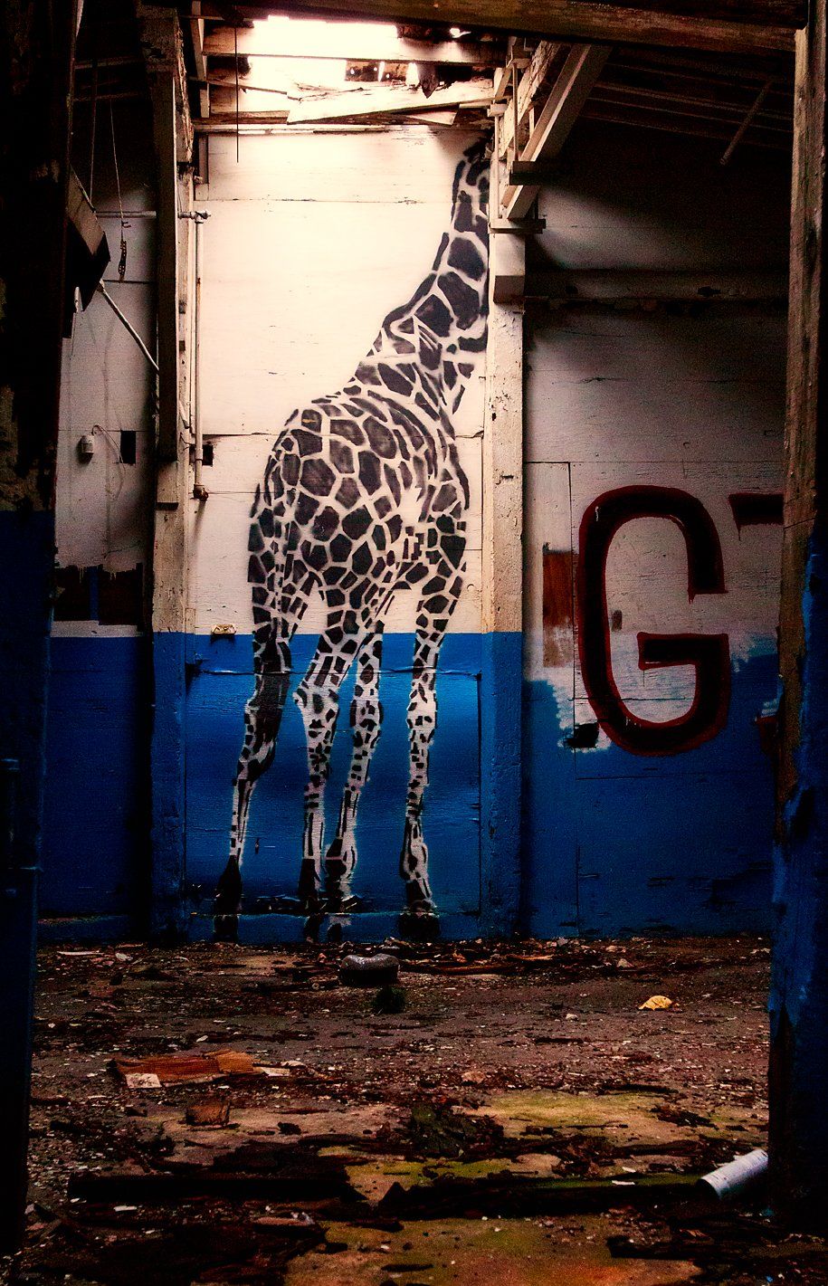 Headroom for the giraffe