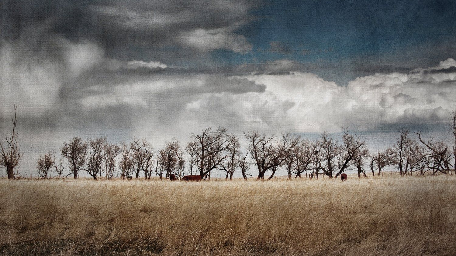 Hanna Treeline