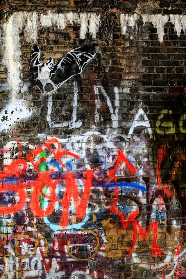 Graffiti inside Moonville Tunnel