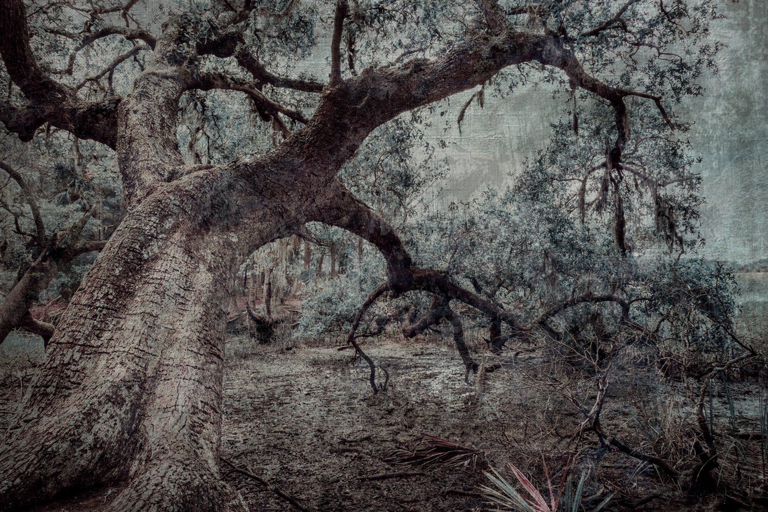 Wormsloe Mud