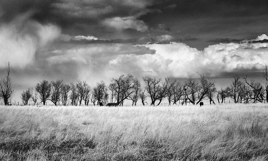 Hanna AB Horizon