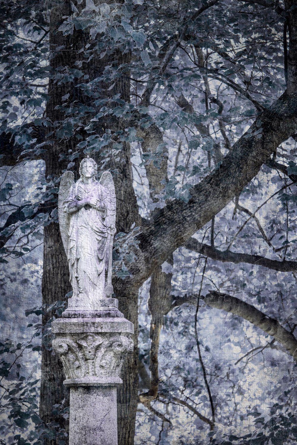 Woodland Angel