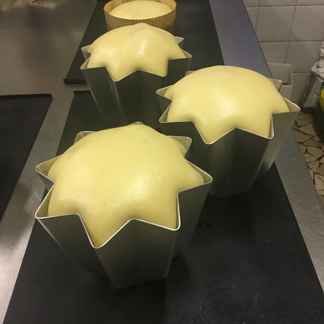 pandoro