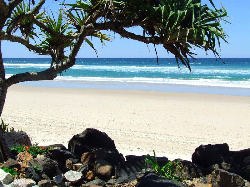 palm beach gold coast