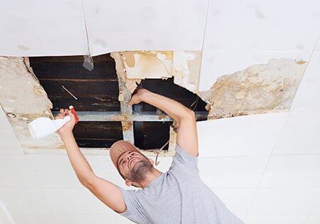 Man Cleaning Mold on Ceiling — Remodeling Contractor in Denver, CO Man Cleaning Mold on Ceiling — Remodeling Contractor in Denver, CO