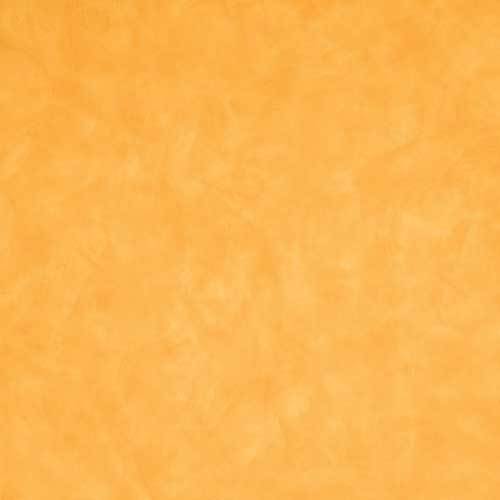 4745 Maroochy Brush