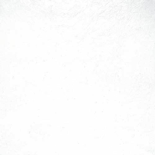 S 100 S/2/S White