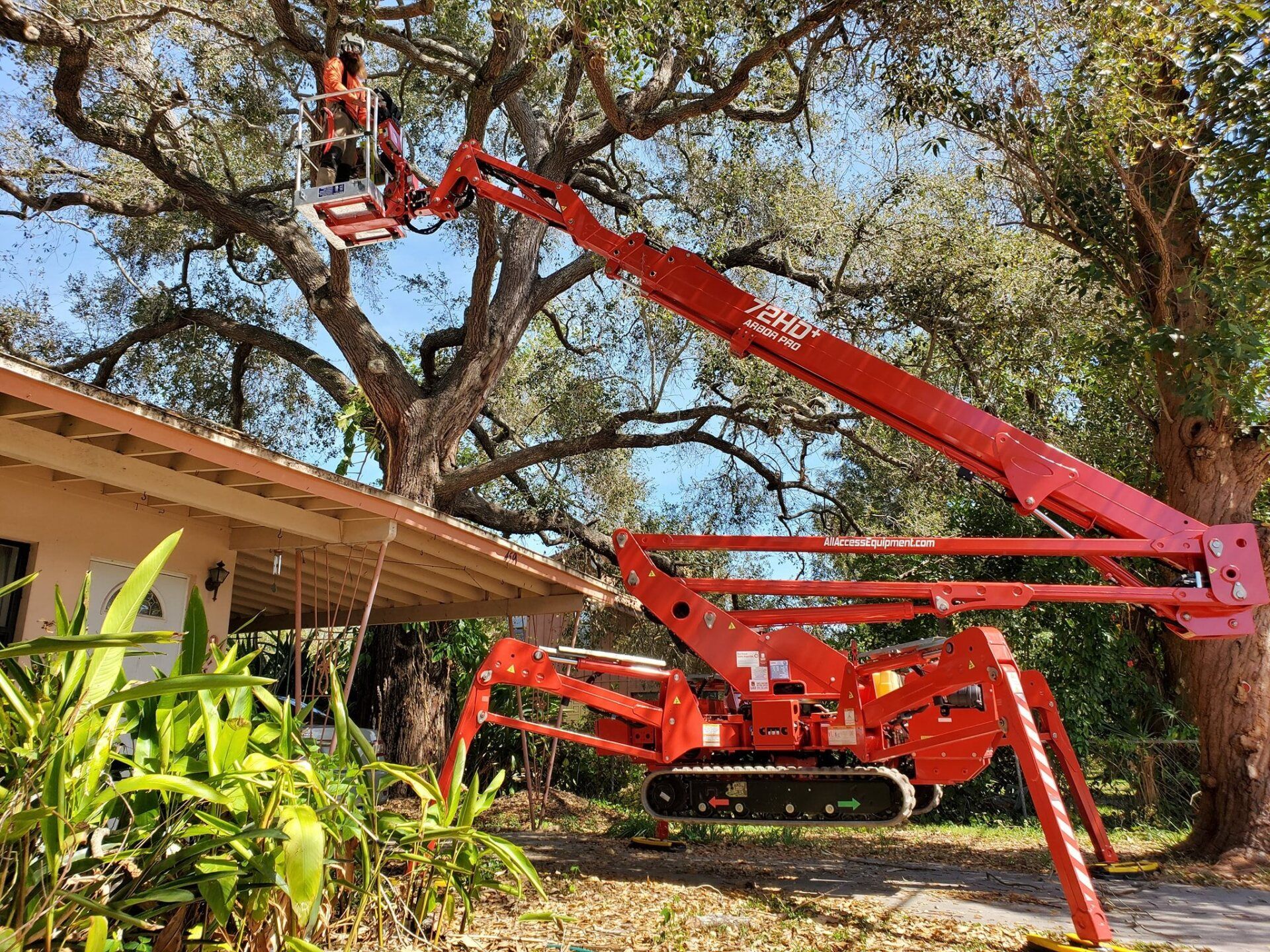 Pinellas Tree Trimming