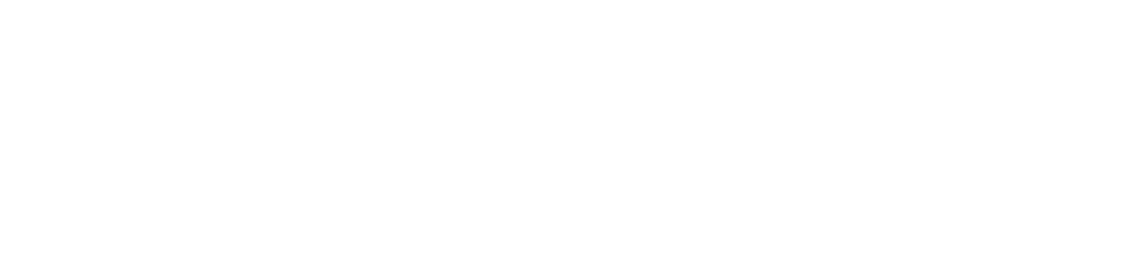 Blank white horizontal rectangle with a thin gray border near the top and bottom.