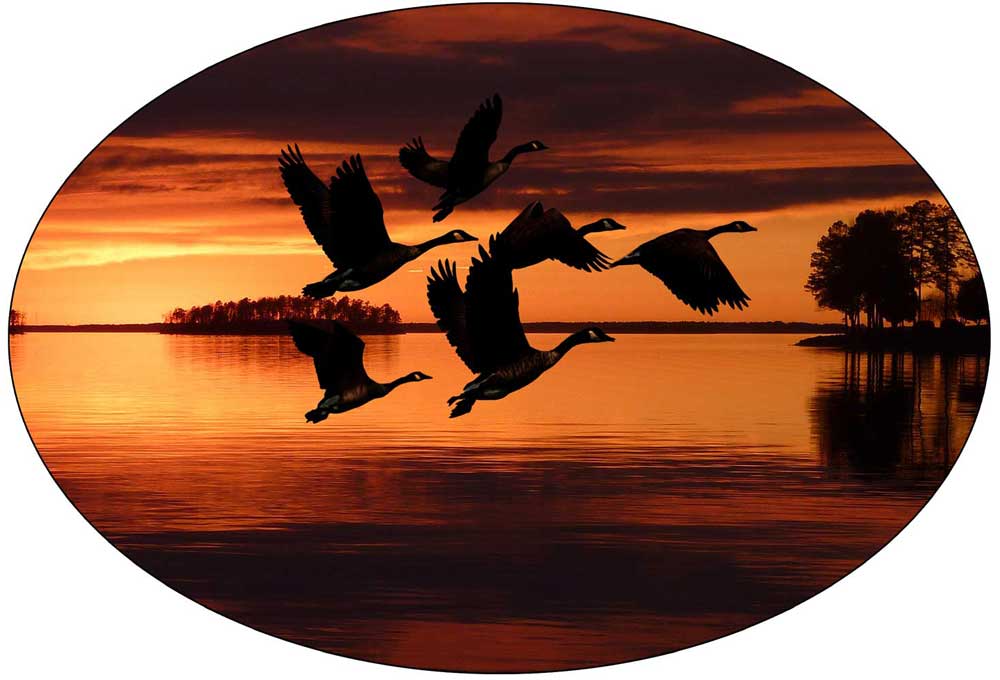 flying geese art for safe or vault door