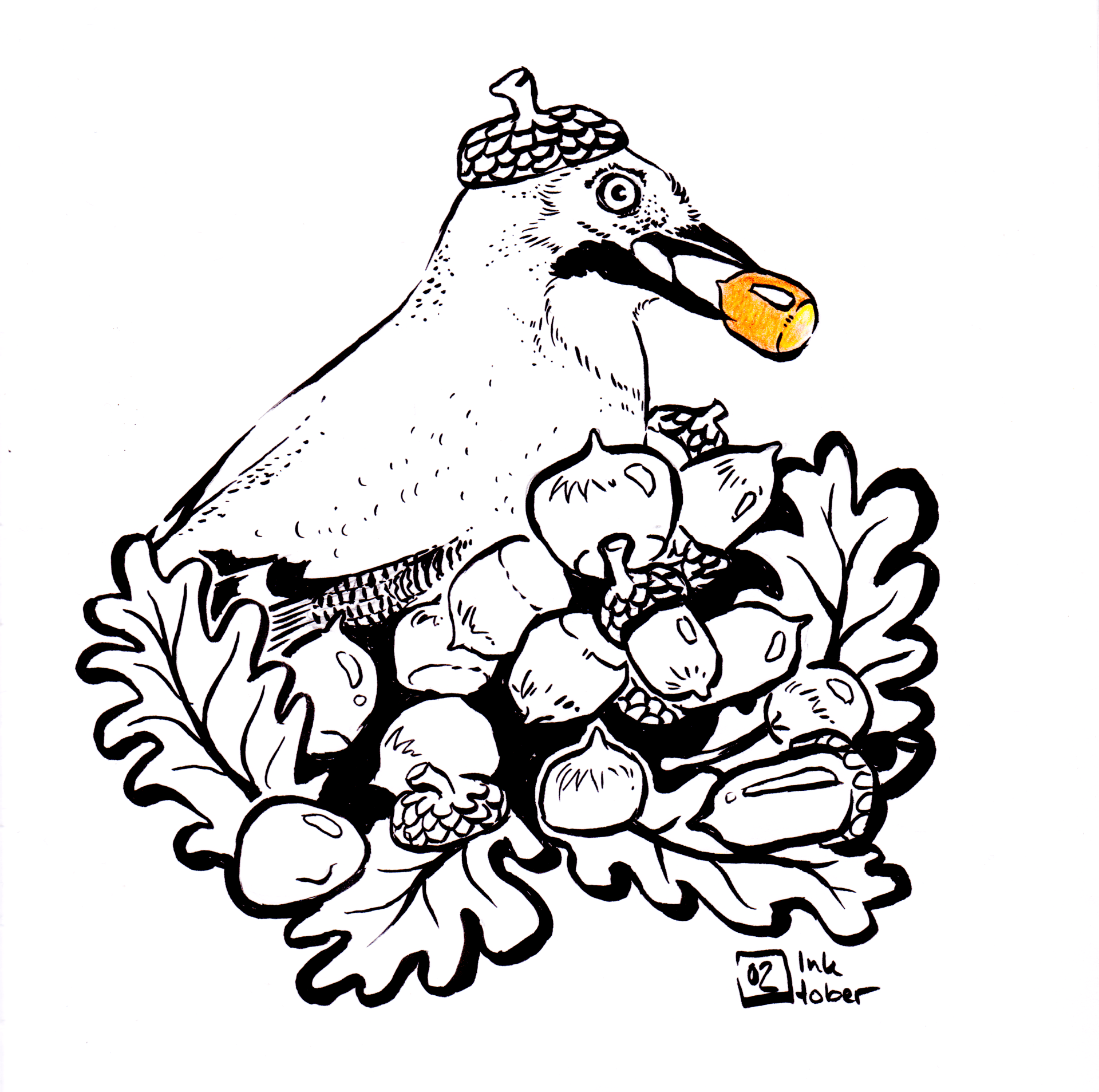 Mariella Fahr Illustration Plantimals Eichelhäher Eichel jay  acorn
