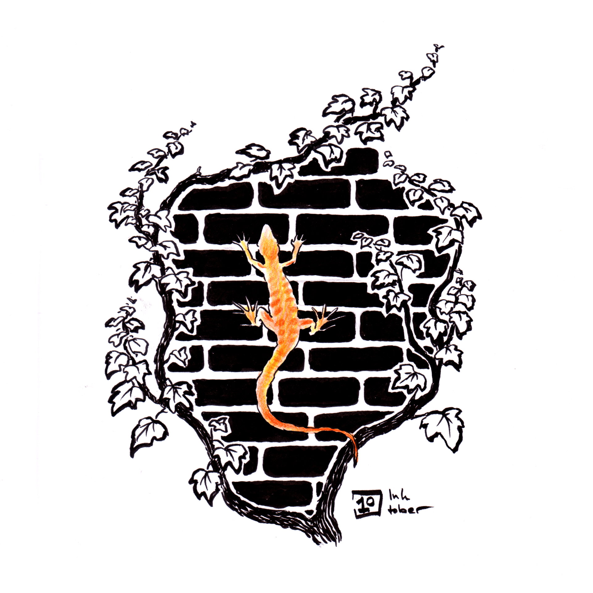 Mariella Fahr Illustration Plantimals Salamander & Efeu • lizard & ivy