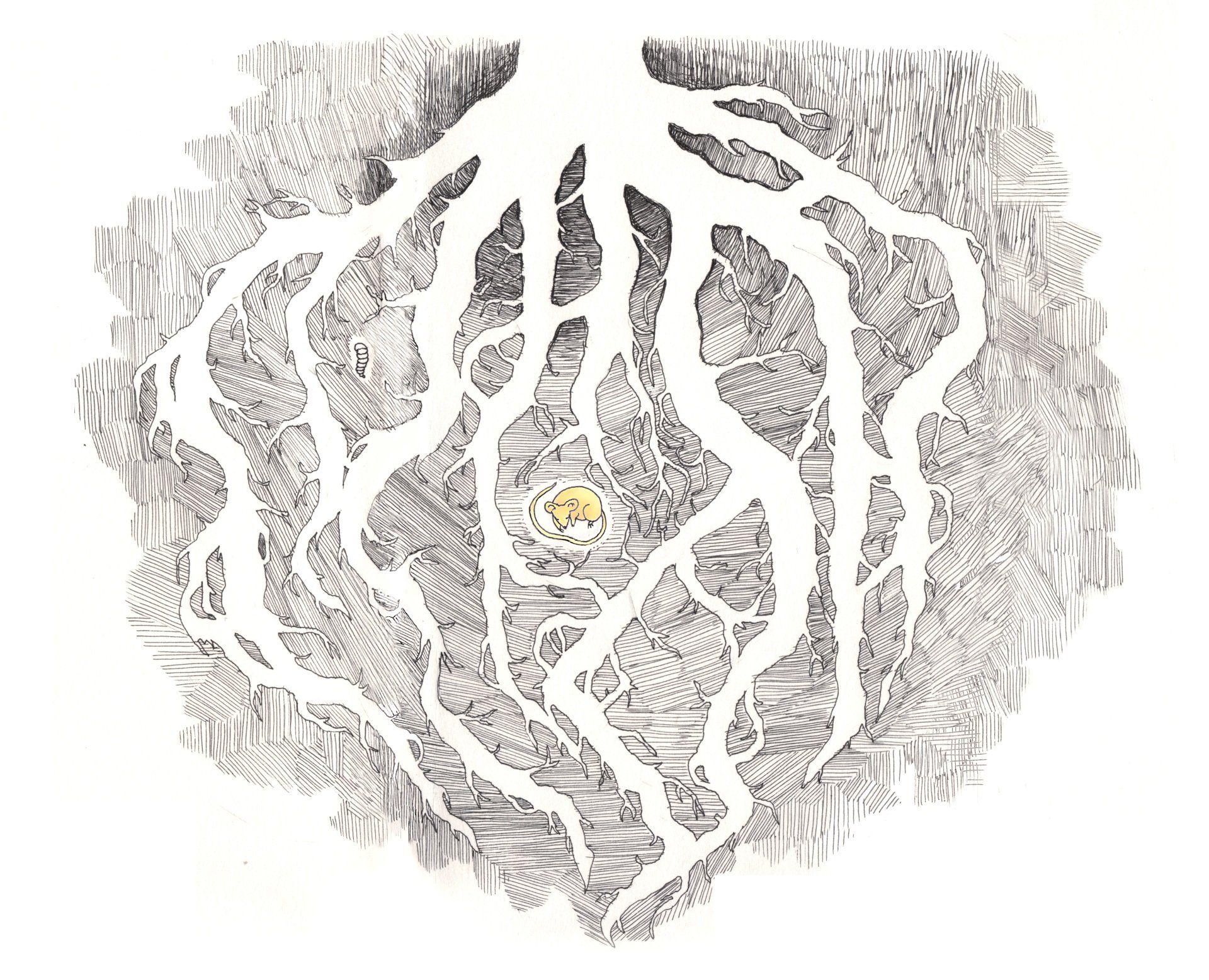 Der Teufel mit den drei goldenen Haaren • The devil with the three golden hairs Mariella Fahr Illustration Der Teufel mit den drei goldenen Haaren • The devil with the three golden hairs mouse under a tree wurzeln
