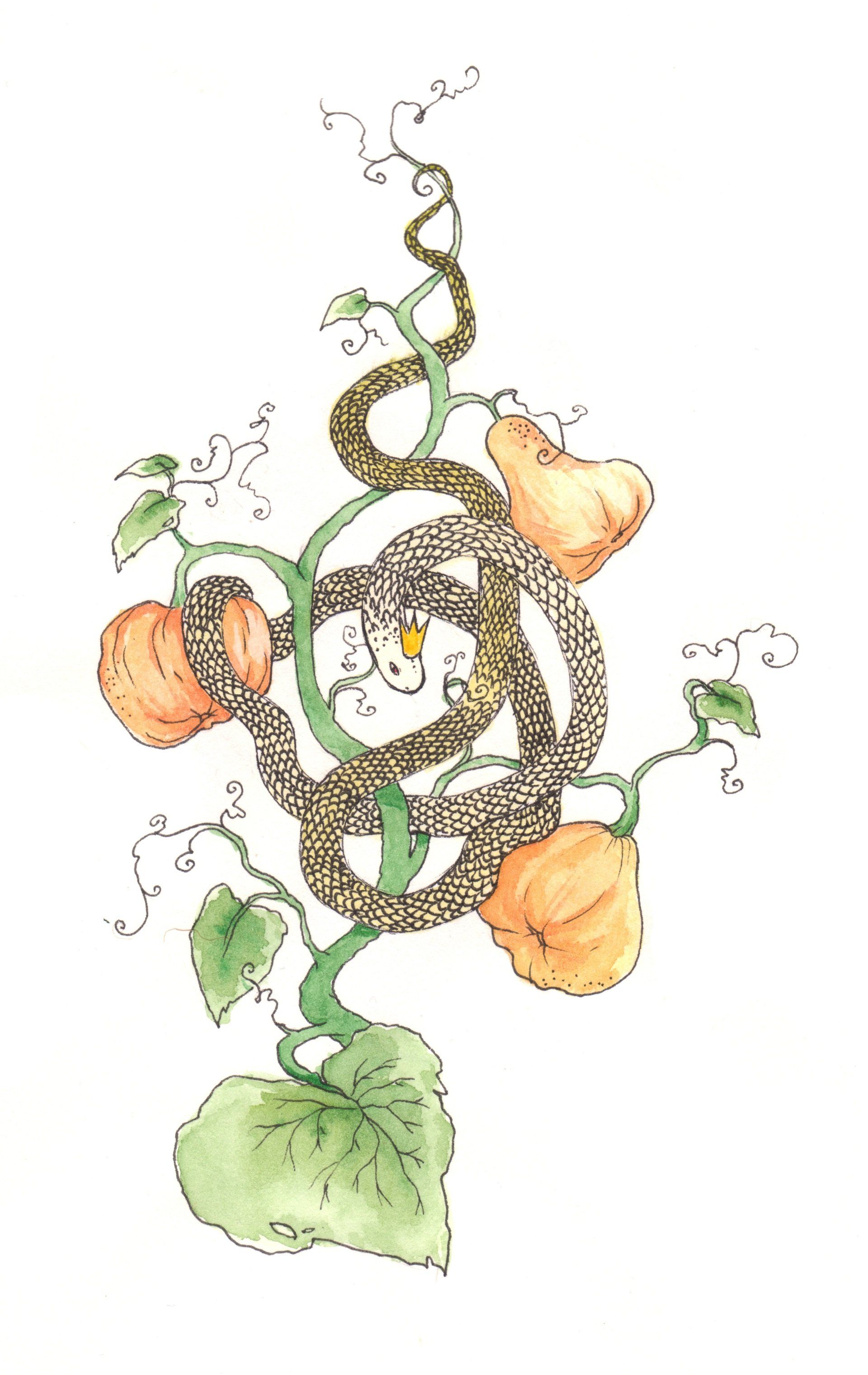 Die Sage vom Schlangenkönig • The legend of the snake king Mariella Fahr Illustration Die Sage vom Schlangenkönig The legend of the snake king pumpkin kürbis krone crown
