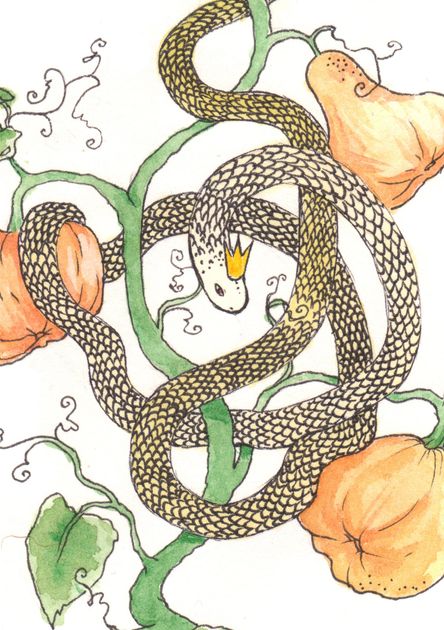 Mariella Fahr Märchen Illustration Schlangenkönig Schlange Kürbisse