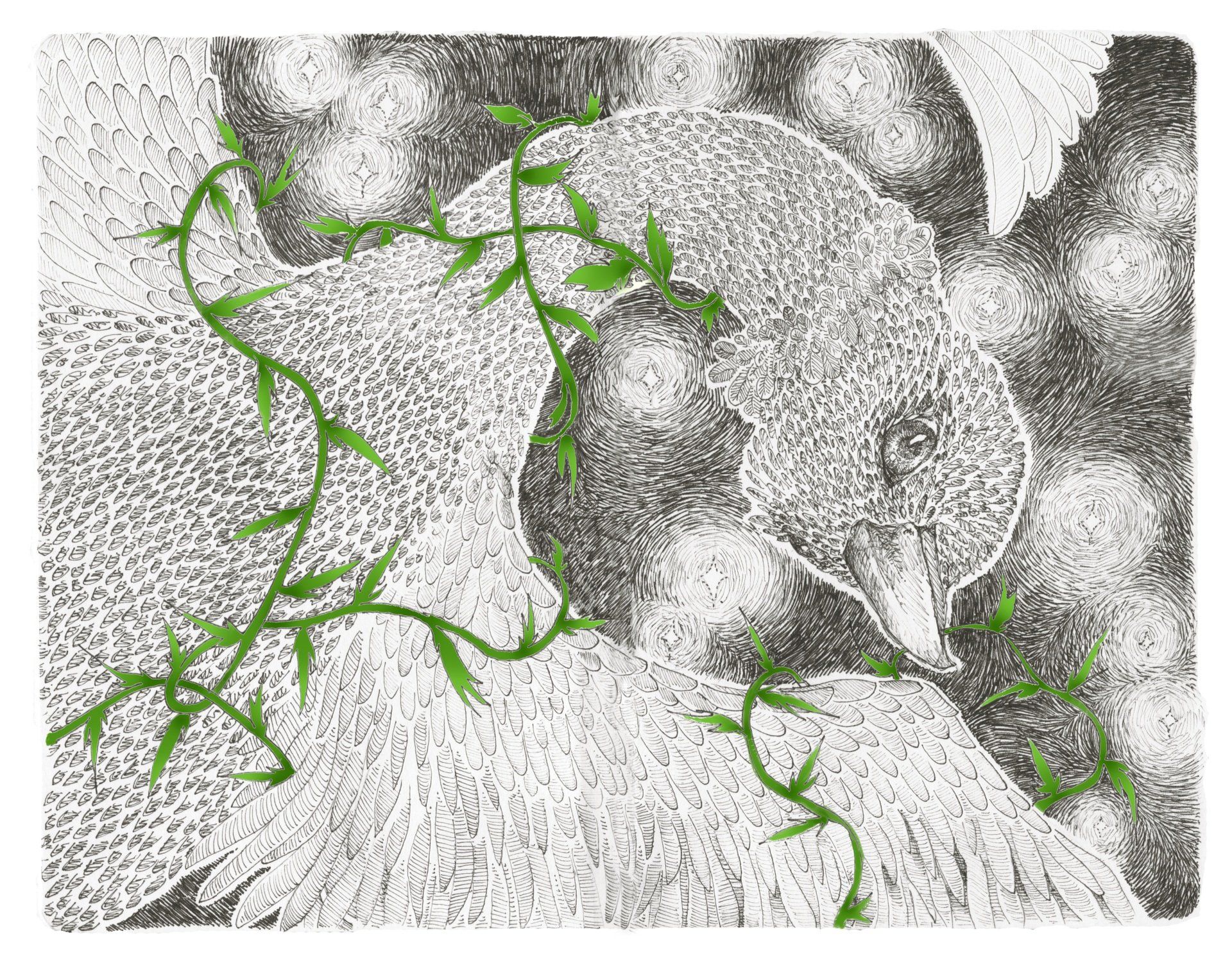 Die wilden Schwäne • The twelve wild geese Mariella Fahr Illustration Die wilden Schwäne The twelve wild geese brennesseln pflanzen schwan vogel