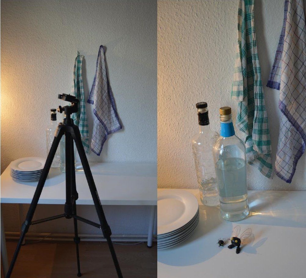 Mariella Fahr Animation Fliege Set