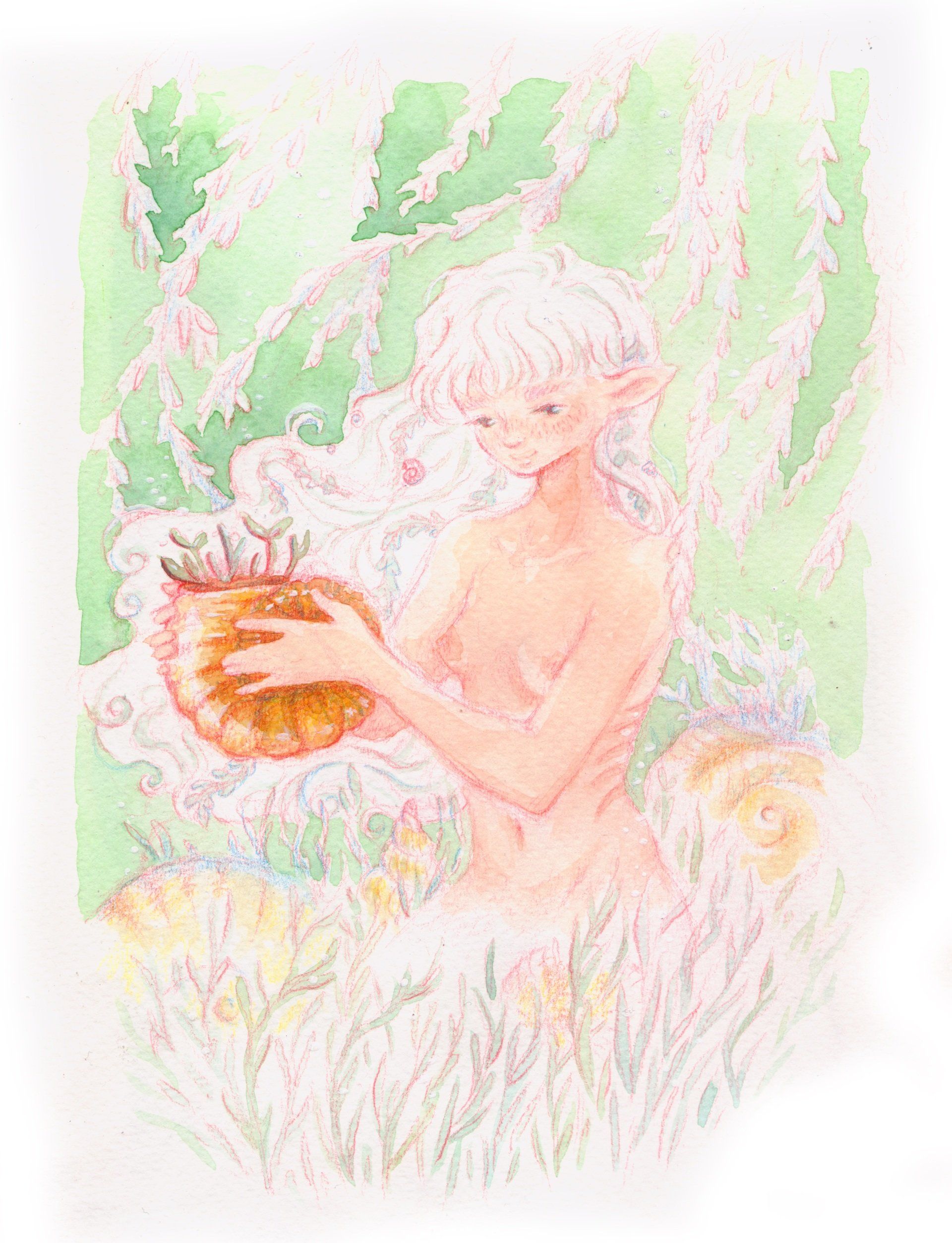 Mariella Fahr Illustration Meerjungfrau Garten garden