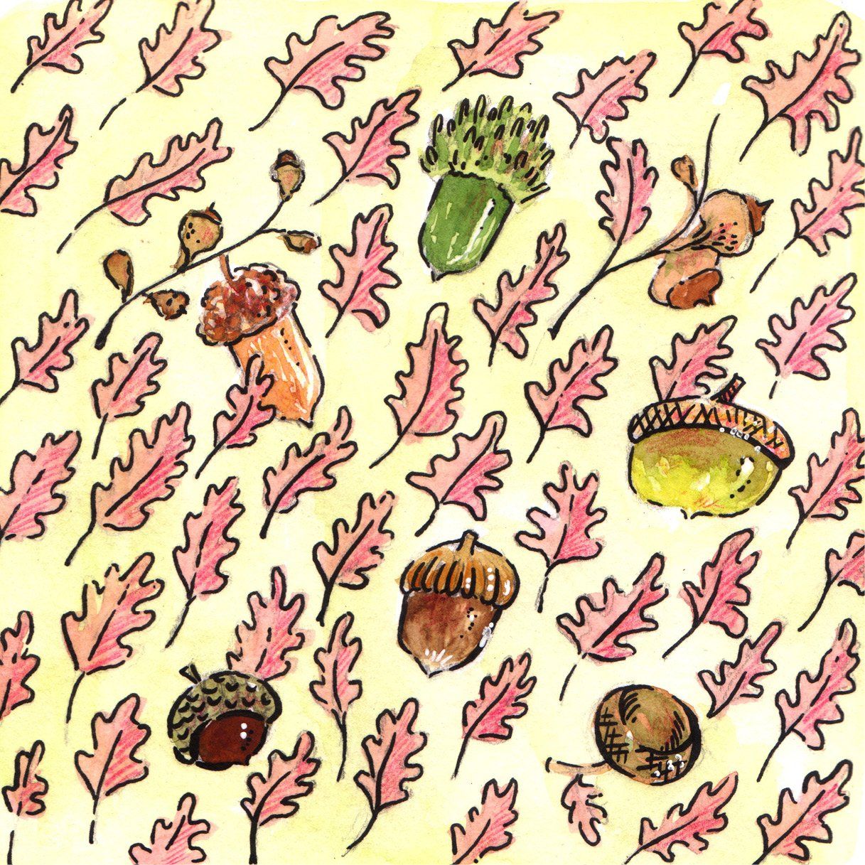 Mariella Fahr Illustration