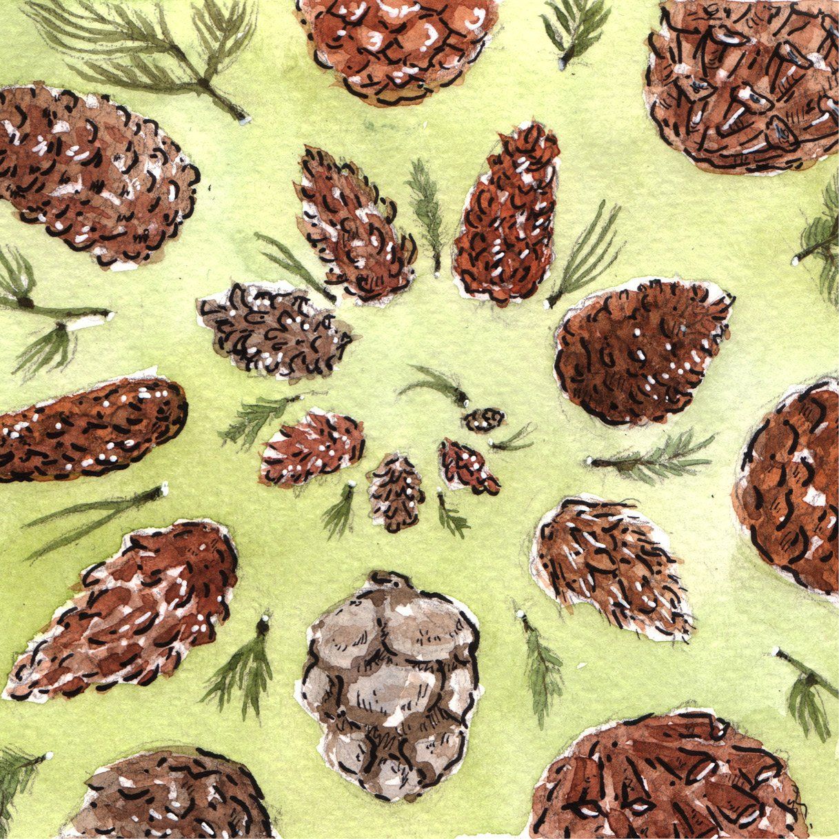 Mariella Fahr Illustration