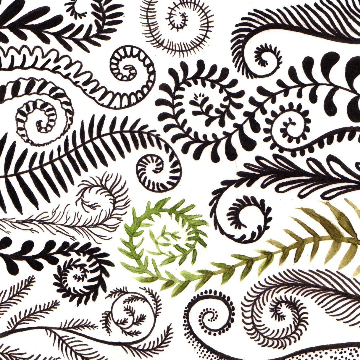 Mariella Fahr Illustration